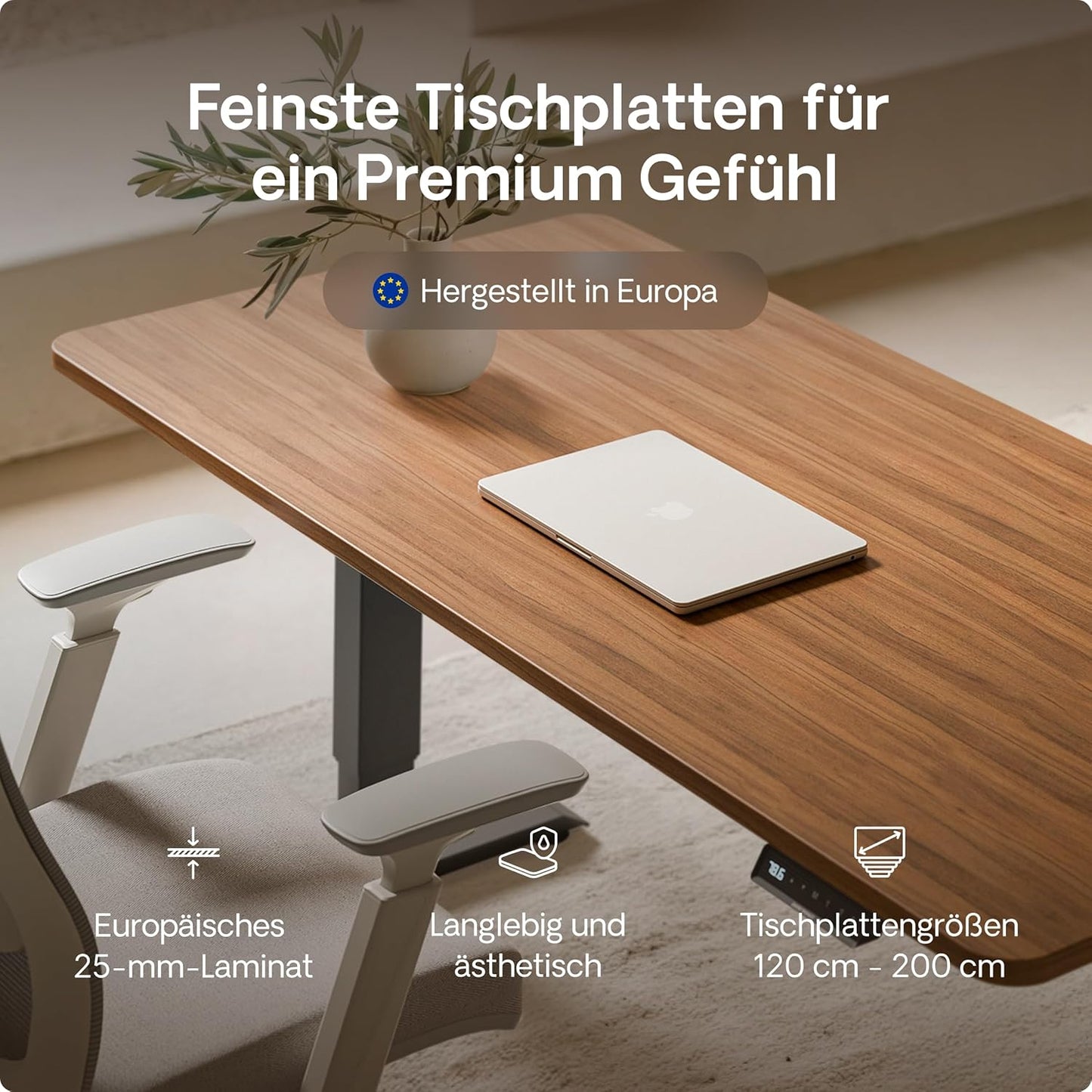 Desktronic HomePro Höhenverstellbarer Schreibtisch Elektrisch – Ergonomischer Steh Sitz Schreibtisch mit Dual Motor, Touchscreen, USB-A & USB-C